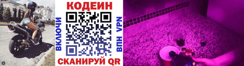 kraken зеркало  Красногорск  Кодеин Purple Drank 