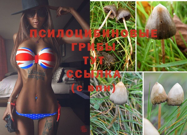гидра Алзамай