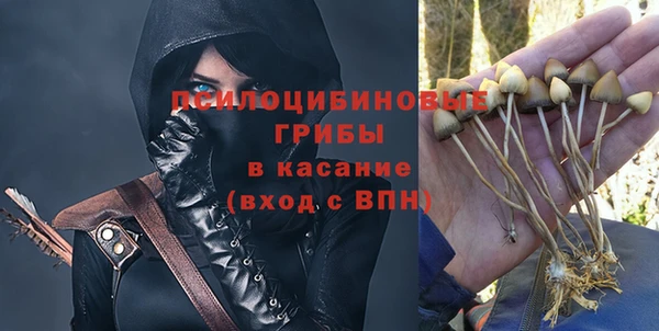 гидра Алзамай