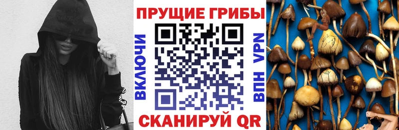 Псилоцибиновые грибы Psilocybe  Красногорск 